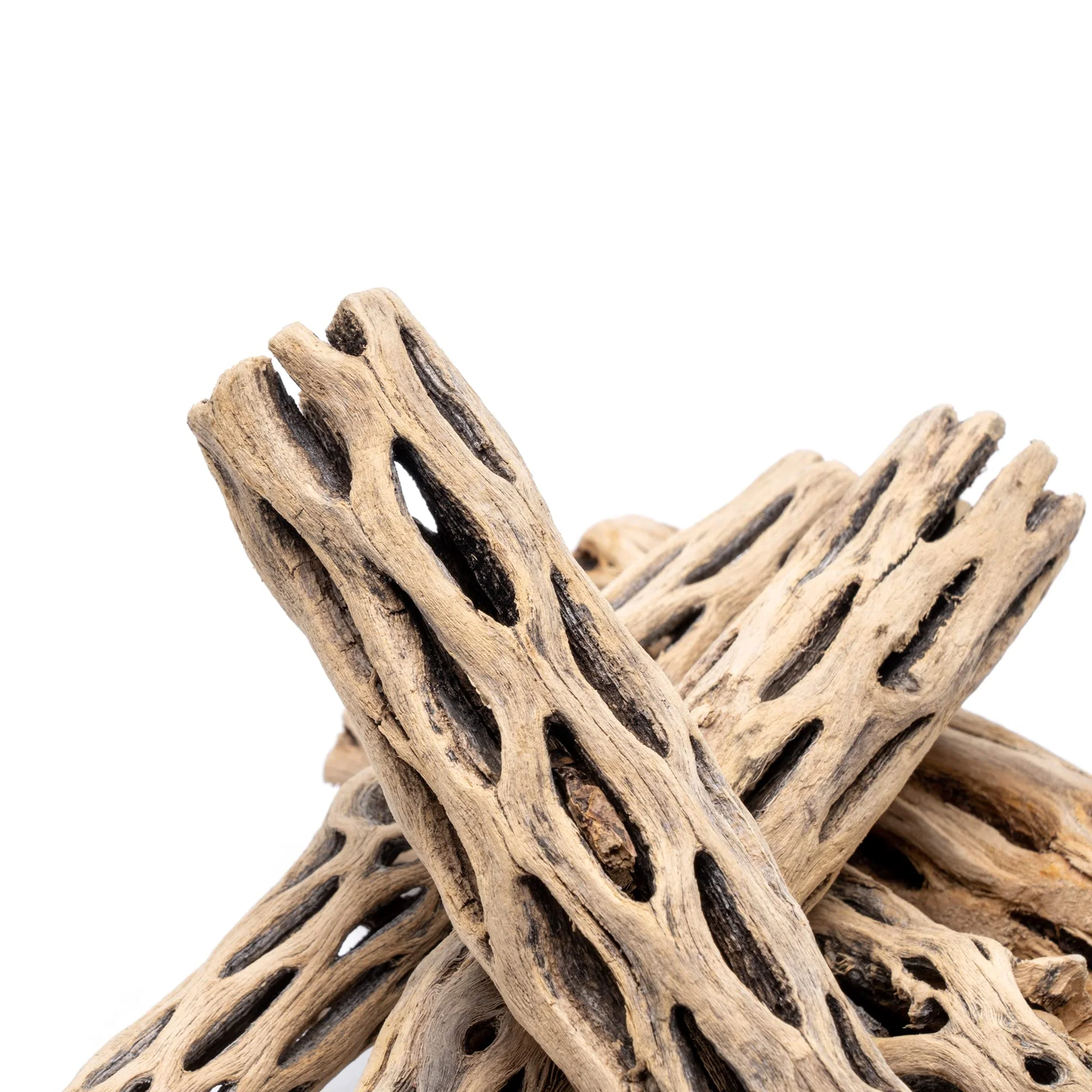 Cholla Driftwood Sticks | Shrimp Approved - Image 5