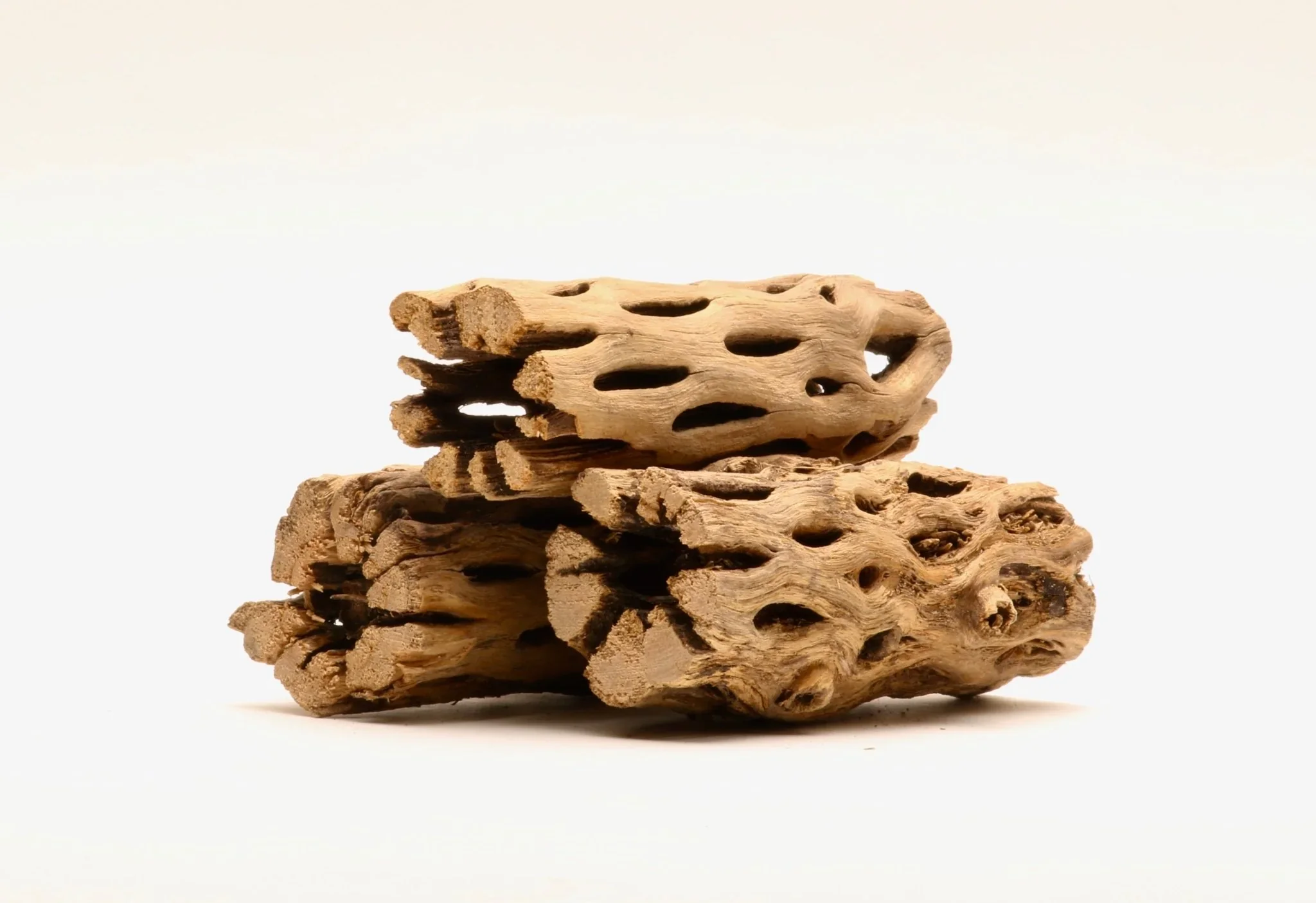 Cholla Driftwood Sticks | Shrimp Approved - Image 6