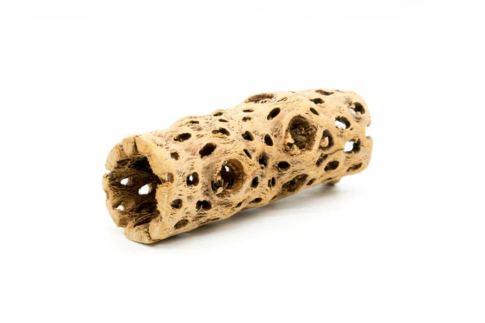 Cholla Driftwood Sticks | Shrimp Approved - Image 7