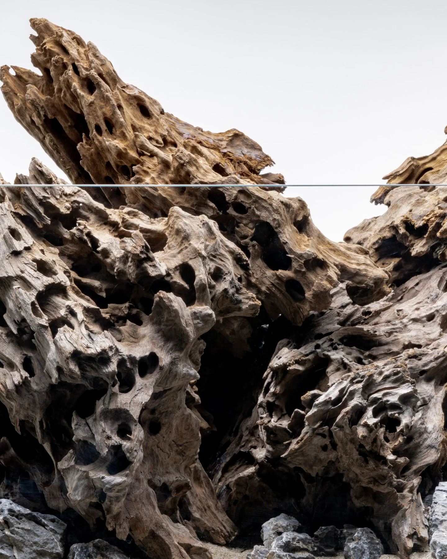 Dragon Driftwood | Aquascape Grade - Image 3