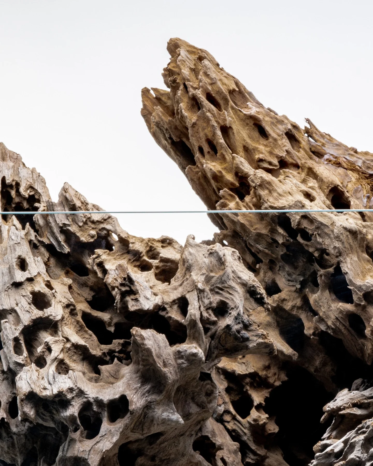 Dragon Driftwood | Aquascape Grade - Image 4