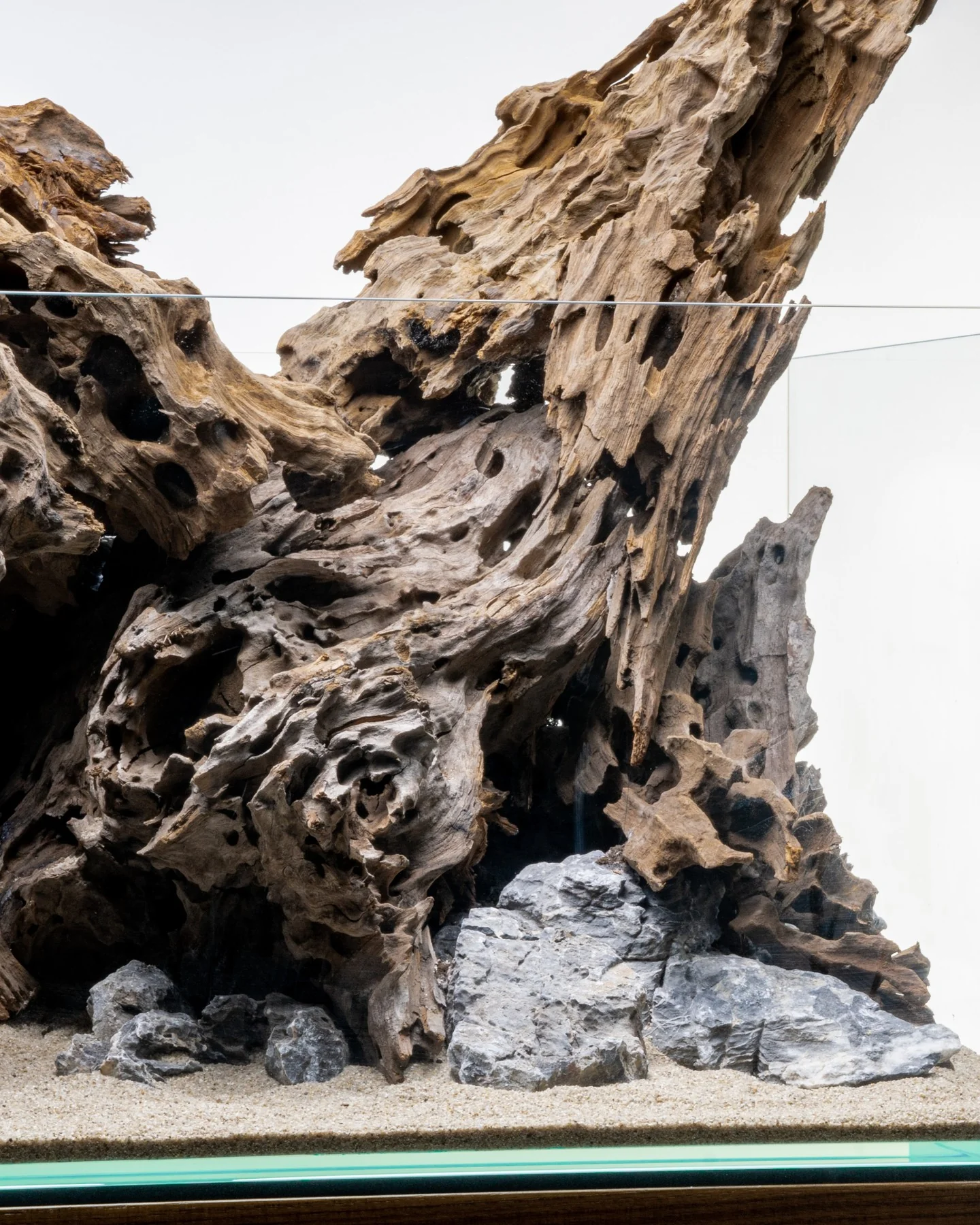 Dragon Driftwood | Aquascape Grade - Image 6