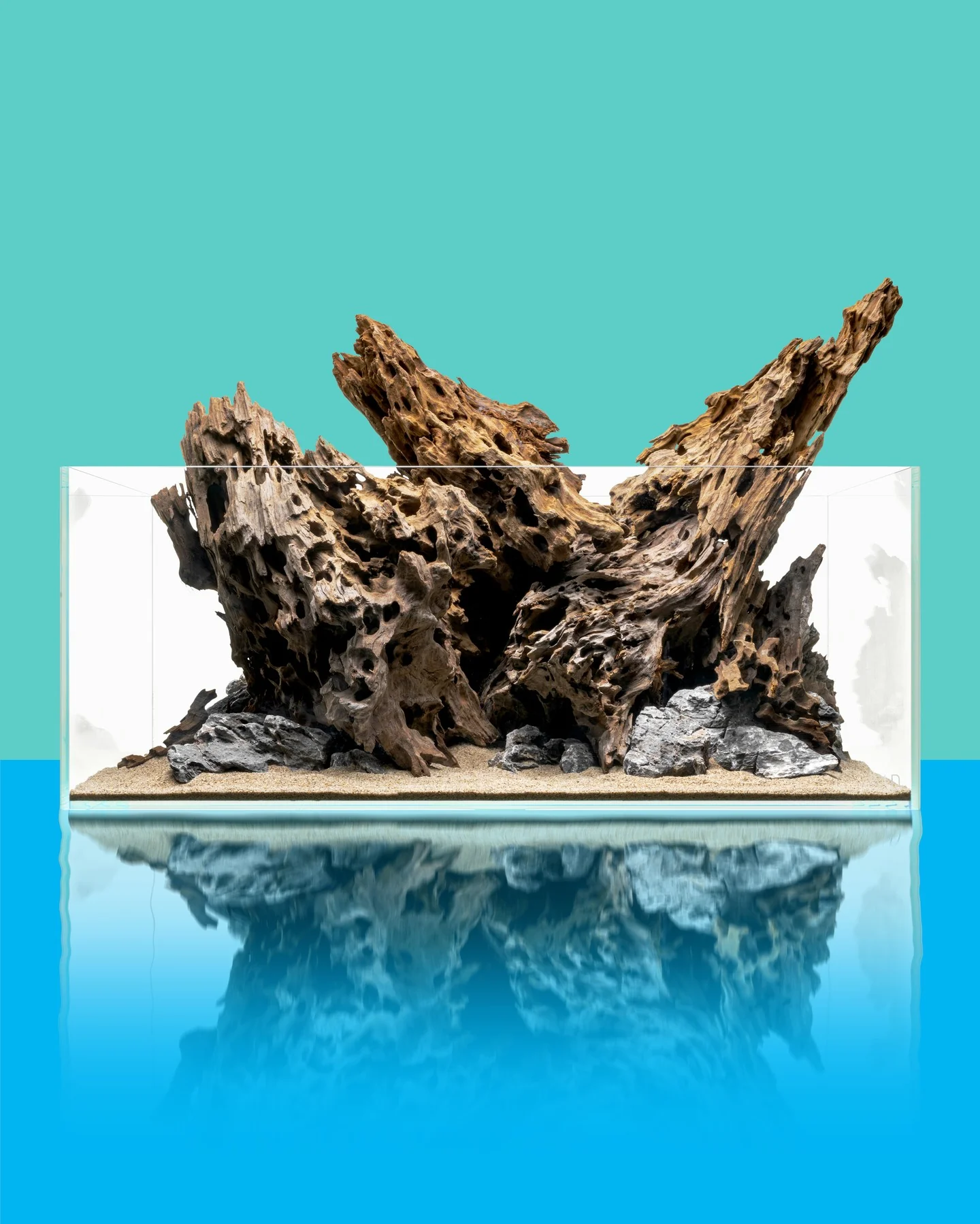 Dragon Driftwood | Aquascape Grade - Image 7