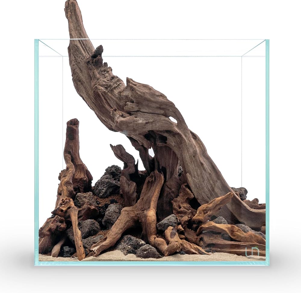 Driftwood Stumps - Extra Small (2–4 Inches) - Image 3
