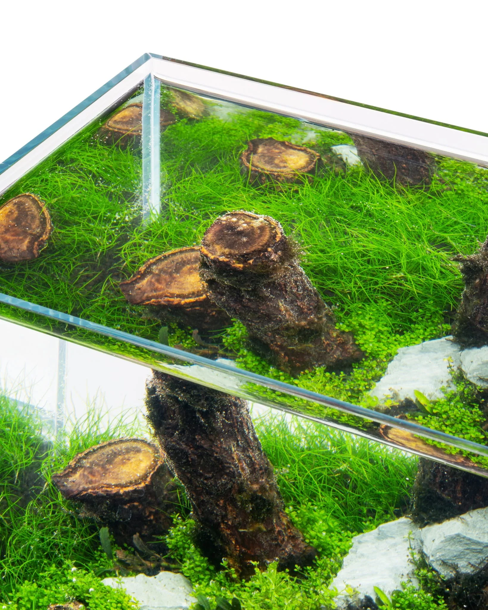 Log Wood | Easy Position Aquascape Wood - Image 5
