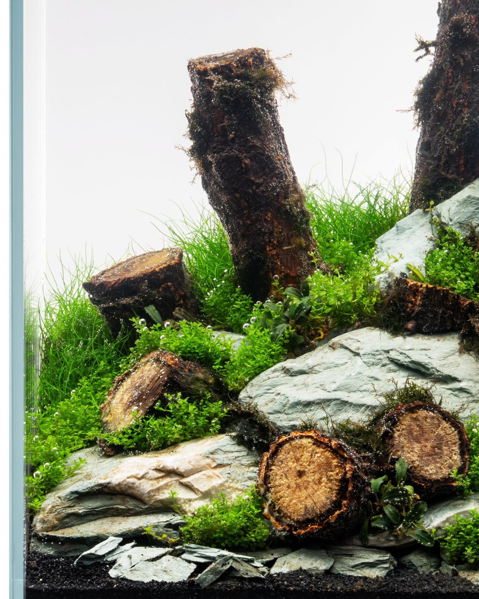 Log Wood | Easy Position Aquascape Wood - Image 6