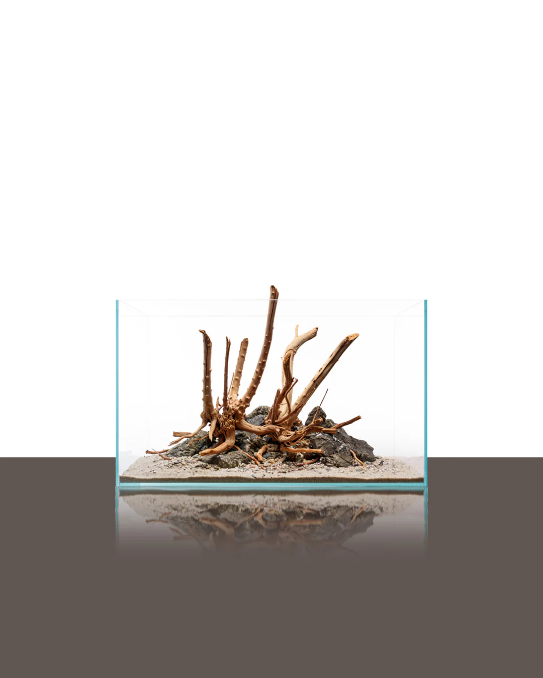 Spider Driftwood | Designer Hardscape - Image 3