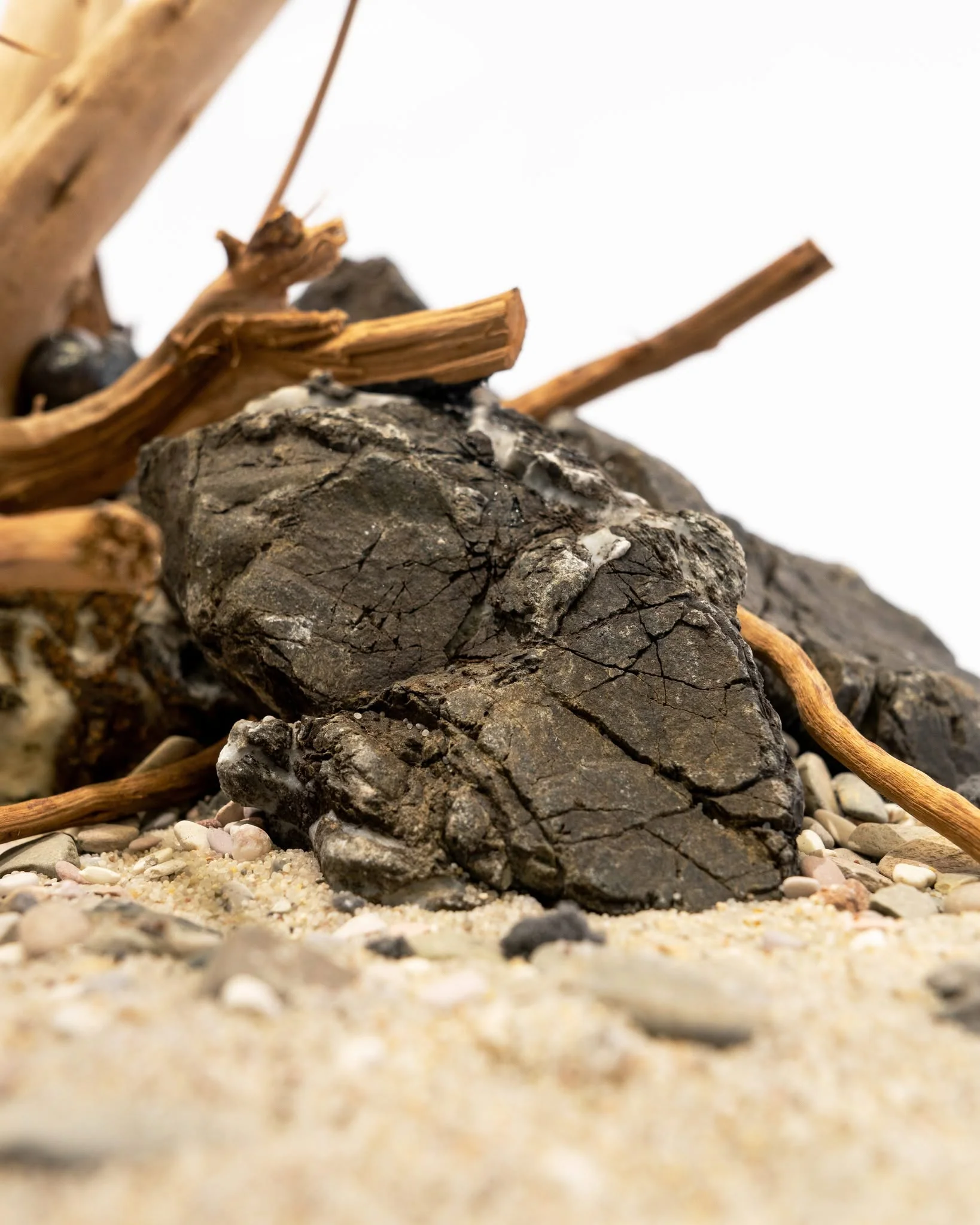 Spider Driftwood | Designer Hardscape - Image 5