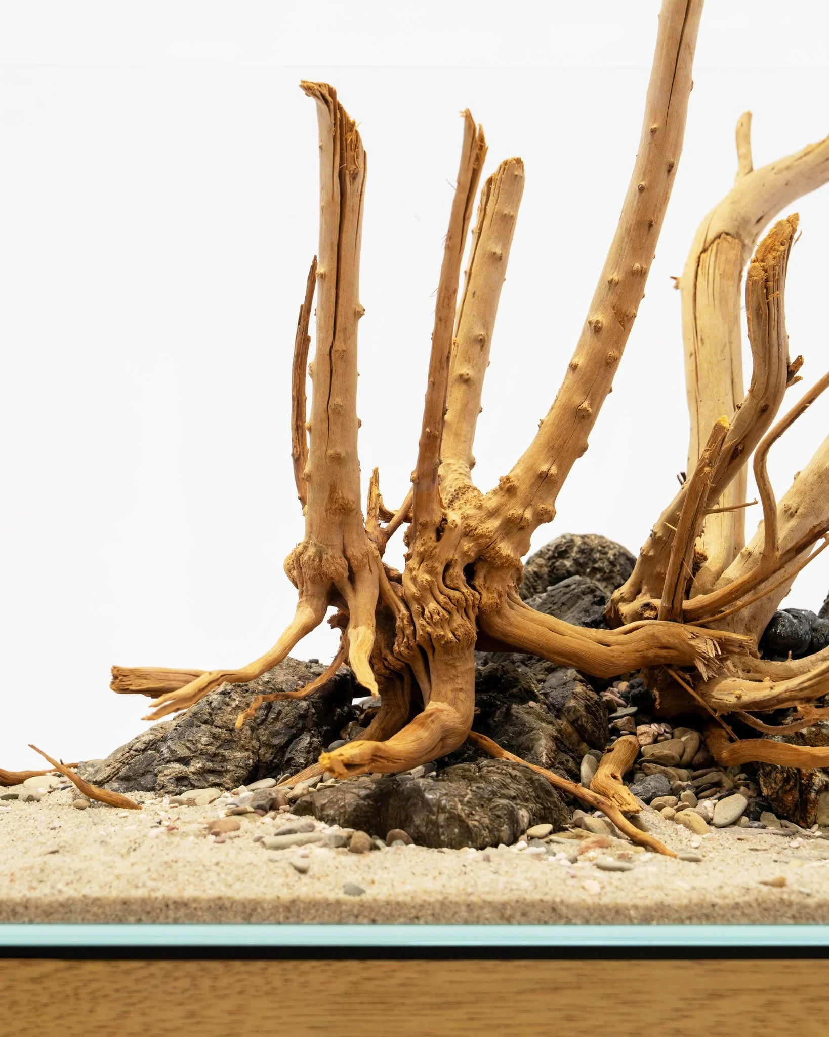 Spider Driftwood | Designer Hardscape - Image 7