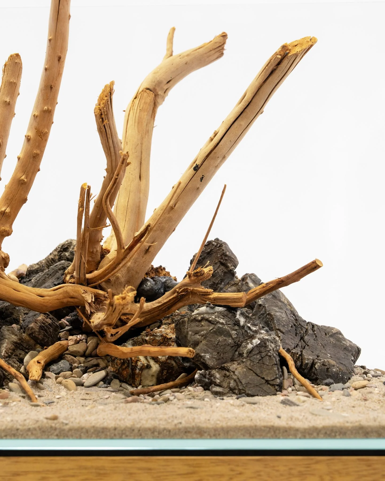 Spider Driftwood | Designer Hardscape - Image 8